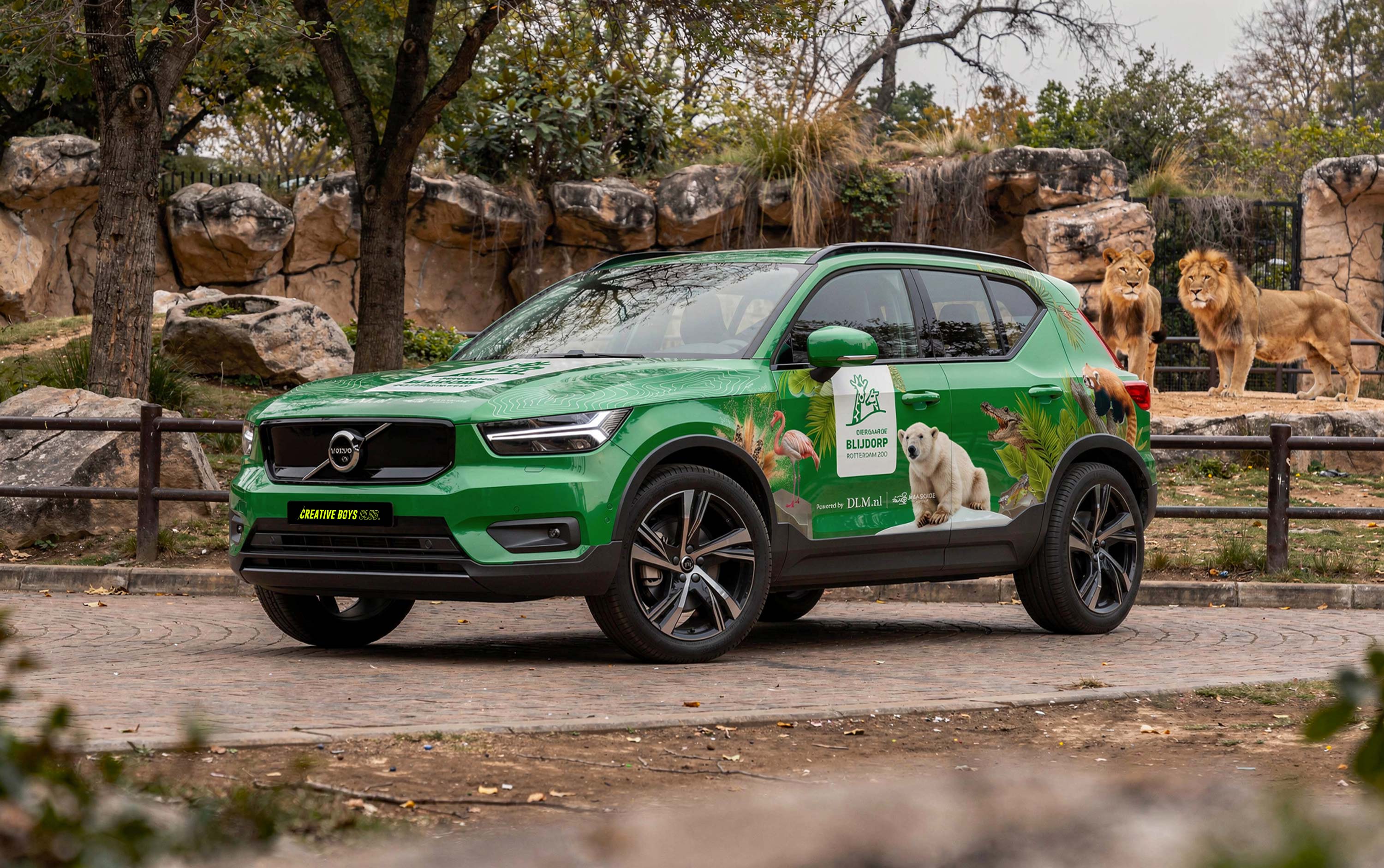 Foto van bestickerde Volvo XC40 in Blijdorp met leeuwen