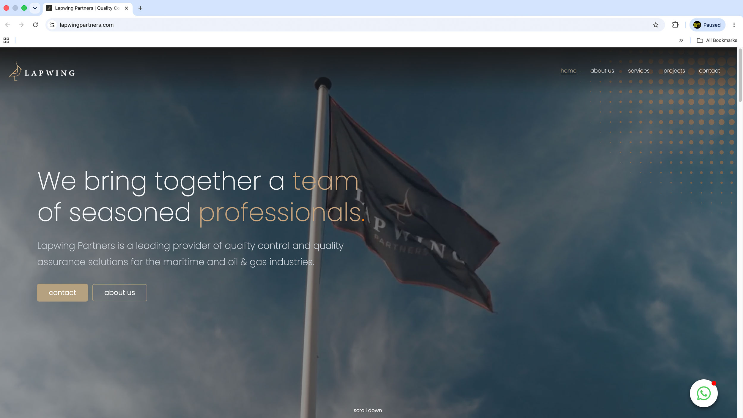 Website visual Lapwing Consultancy website Dordrecht